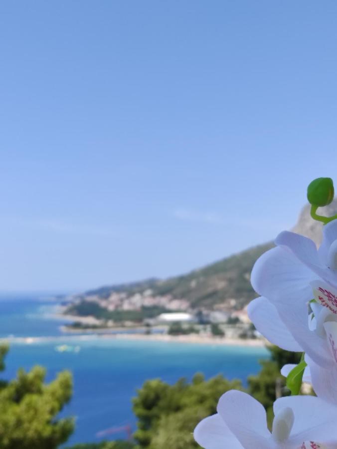 Appartement Rake à Omiš Extérieur photo